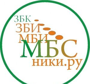 МБС ЕХБ создает социальную сеть