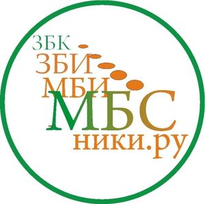 МБС ЕХБ создает социальную сеть