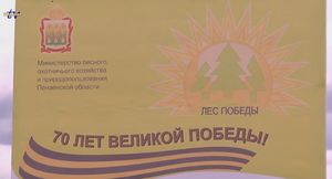 Пензенские протестанты посадили "Лес Победы"