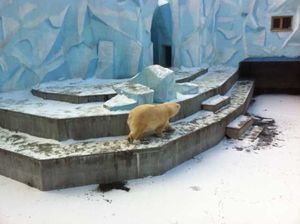 Праздник на колёсах