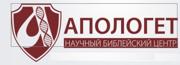 Апологетам. И тем, кому мысль не в тягость.