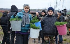 Протестанты восстанавливают лес