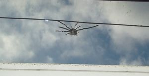 Обстрел протестантской церкви в Саратовской области