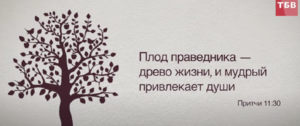 Плод праведника №1