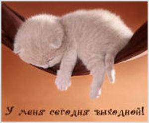 Может, купить лотерейный билет?