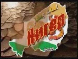 Мусульмане осквернили протестантский и католический храмы в Нигере