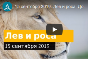 Лев и роса