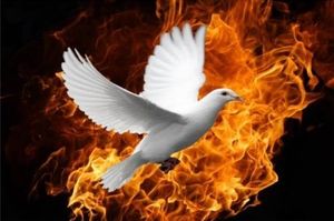 Разве не все христиане верят, что некоторые духовные дары перестали существовать?