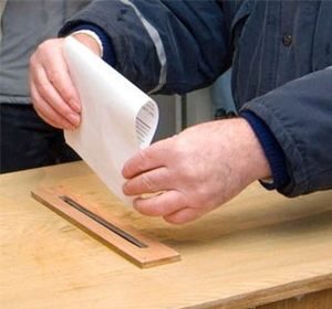 Голосовать или нет?