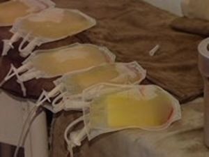 Служение «ХОСПИС» подарило праздник сотням больных