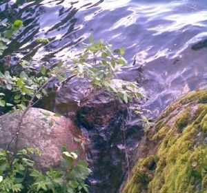Мужчины, женщины и дети... Или под лежачий камень вода не течет.