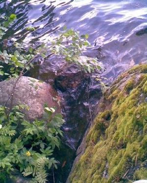 Мужчины, женщины и дети... Или под лежачий камень вода не течет.