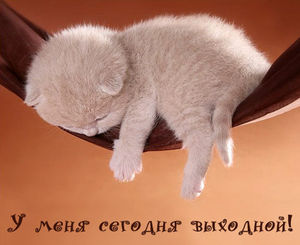 Платон мне друг, но истина дороже