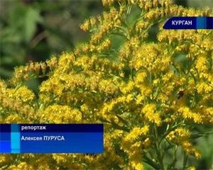 Сад верующих | ВИДЕО